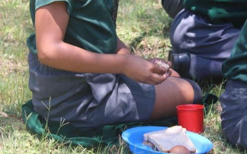 Untitled design 5.jpg