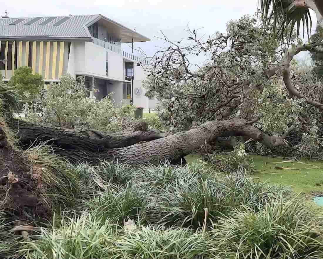 Cyclone alfred aftermath 1100p.jpg