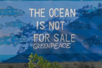 E885a873 gp0su655l.jpg