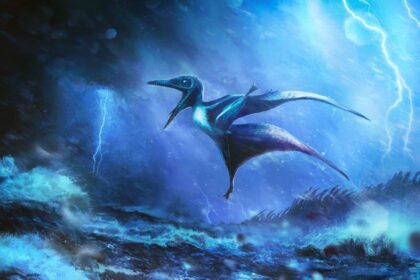 Pterosaur rudolph hima.jpg