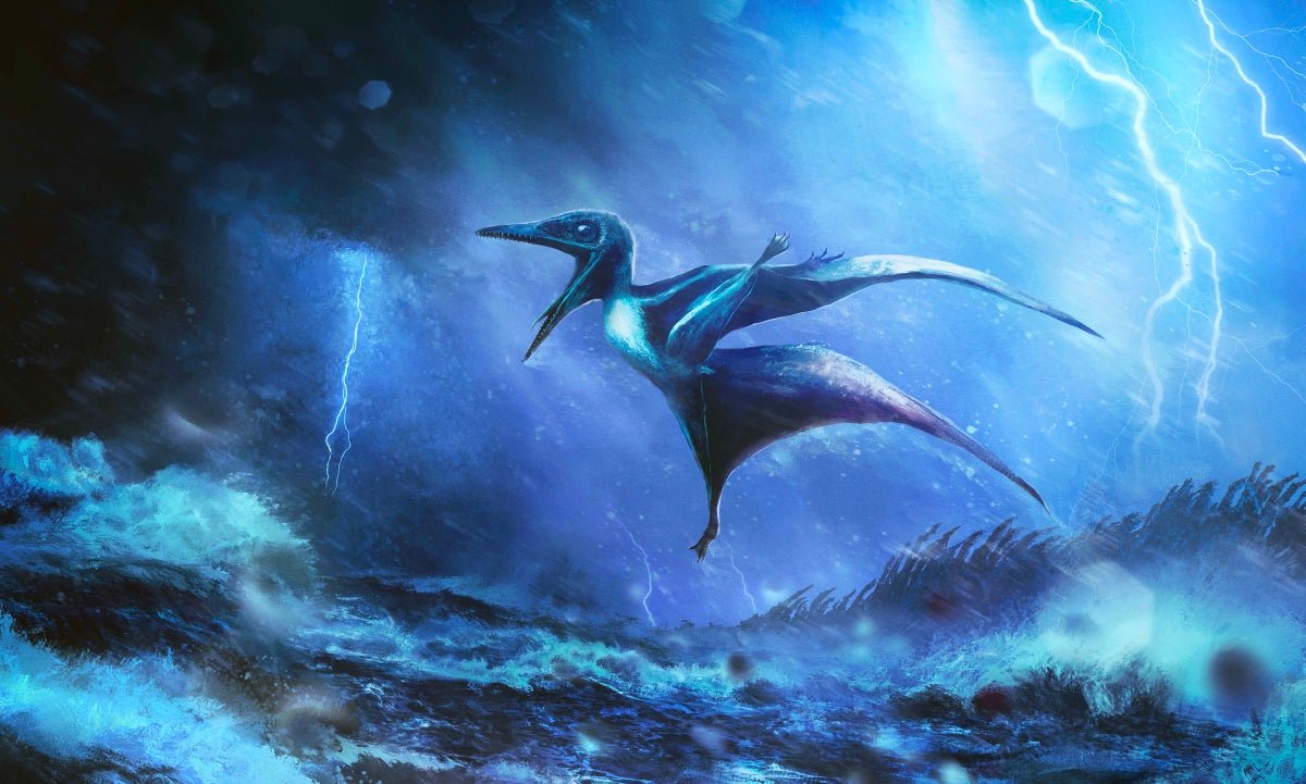 Pterosaur rudolph hima.jpg