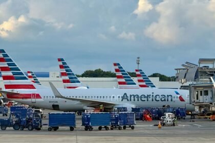 Stowaway american airlines carolinas.jpg