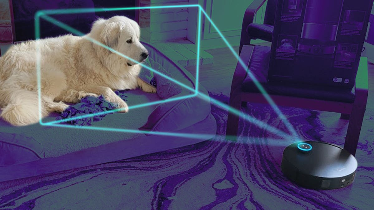 Torben jared dog.png