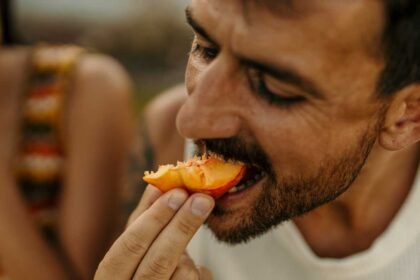 100325 sp tastesmelllink feat.jpg