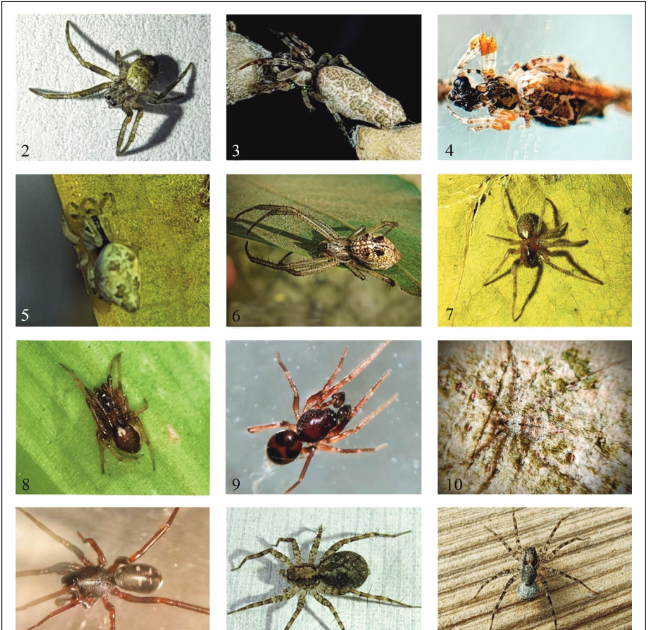 1761574393 capture.png