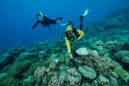 26d5aa29 gp0su0mqw pressmedia 2500px.jpg