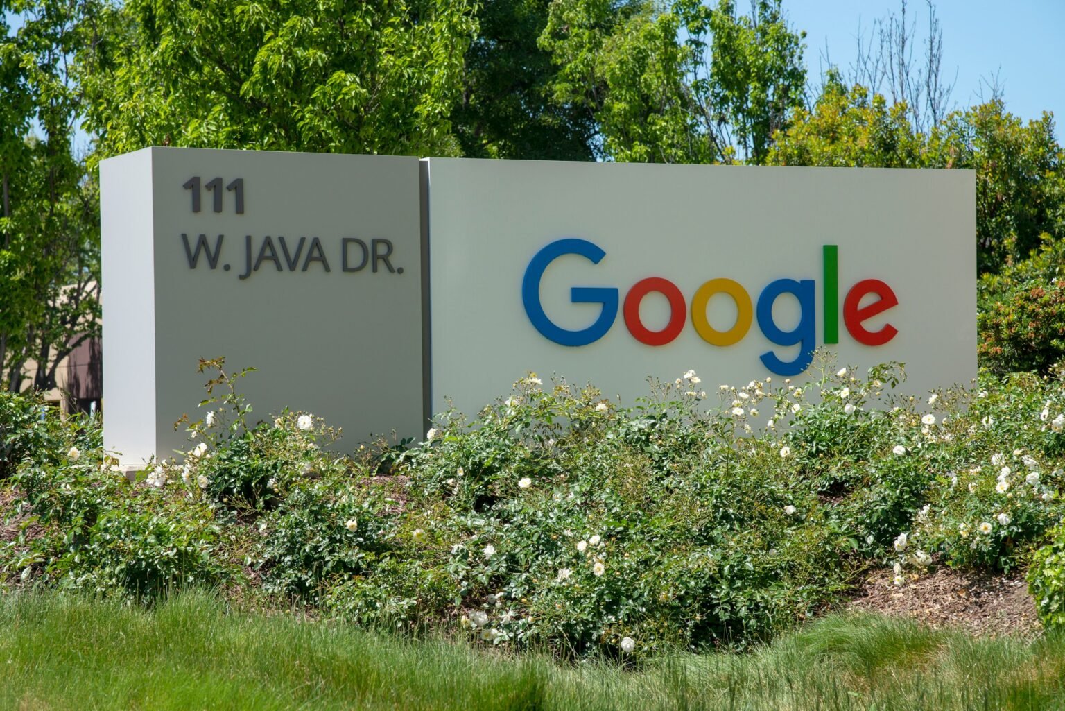 Google layoffs 2025.jpg