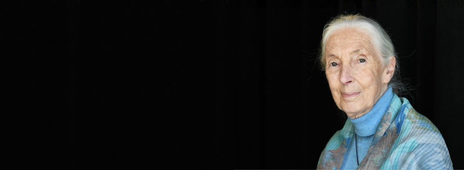 Jane goodall 3 e1759397918793 940x346.png