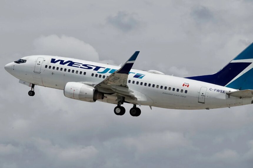Lax planes176.jpg