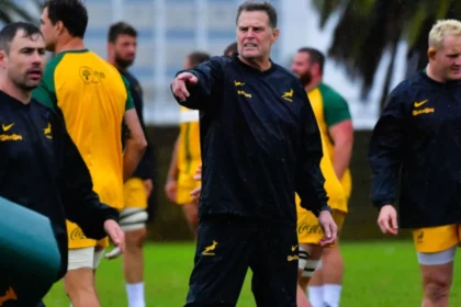 Rassie erasmus springboks 1.jpg.webp.webp