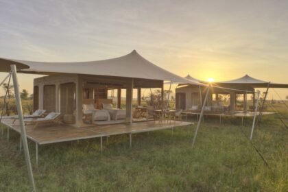 Roving bushtops cover scaled.jpg