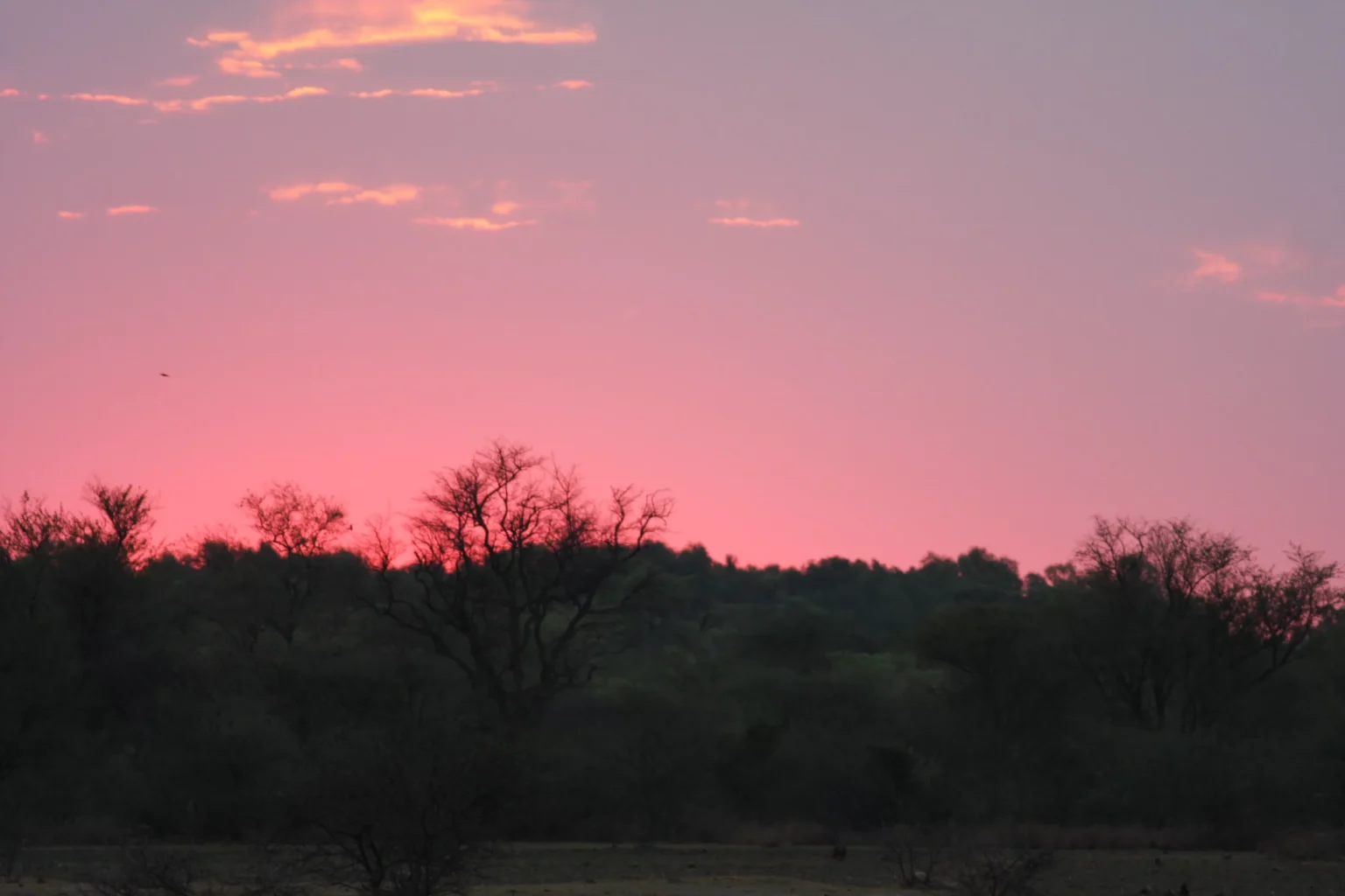 Rundu sunset namibia scaled.webp.webp