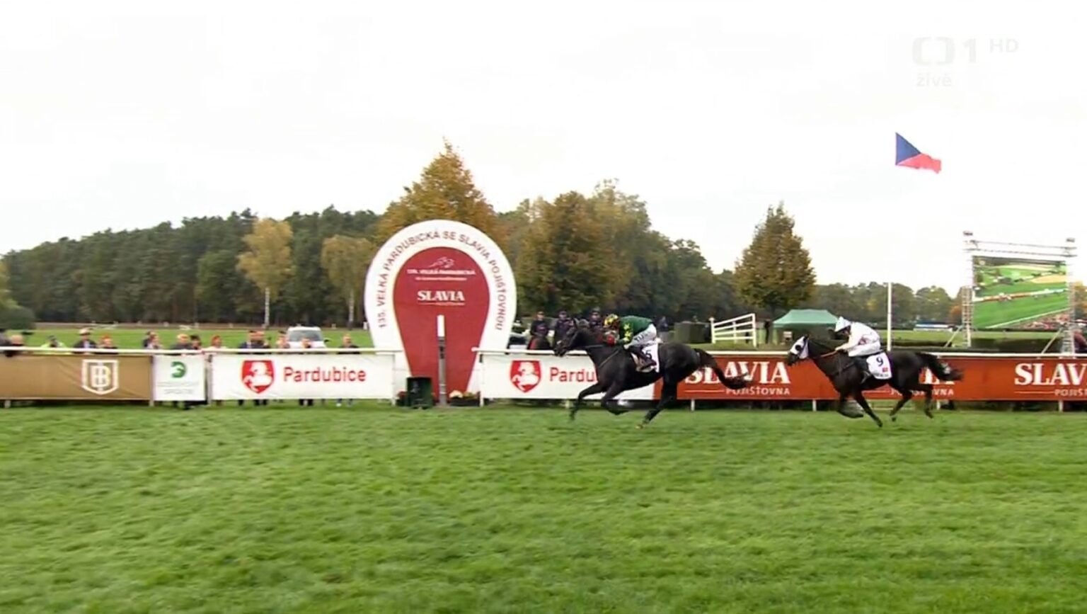 Stumptown wins 2025 velka pardubicka.jpg