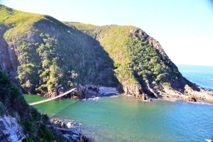 Tsitsikamma national park 01 1 scaled.webp.webp