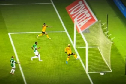 Mayo selfish.jpg.webp.webp