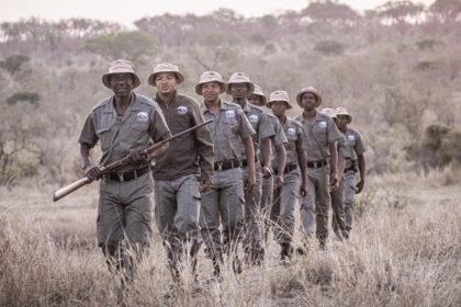 Rhino guardians benner 1.jpeg