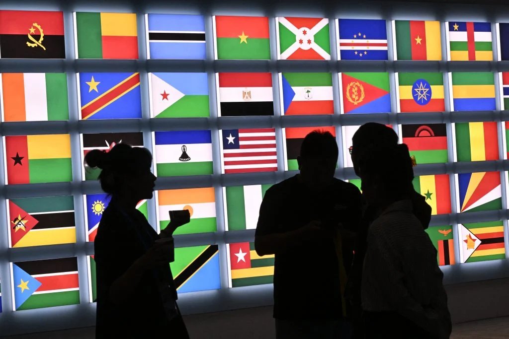 000 36fd3je 1024x683.jpg