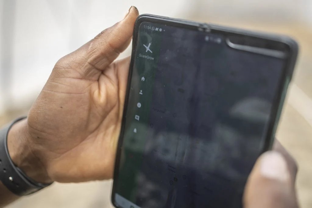 000 372d9pf 1024x683.jpg