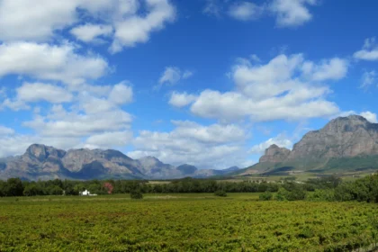 12 0234 35 cape winelands 1 scaled.webp.webp