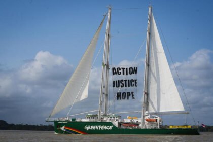 3bec92cb gp0su7azi low res 800px.jpg