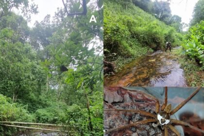 41598 2025 26308 Fig7 HTML.webp.jpeg