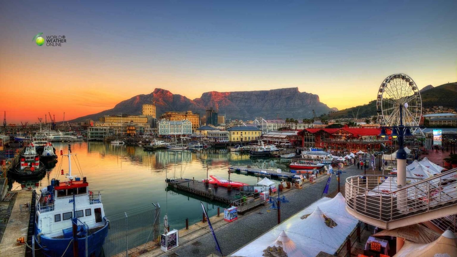 A Sunny Escape to Cape Town.jpg