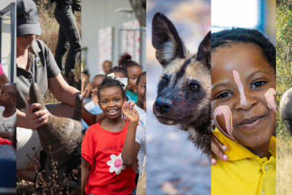 Blog Header Image Collages 940x470.png