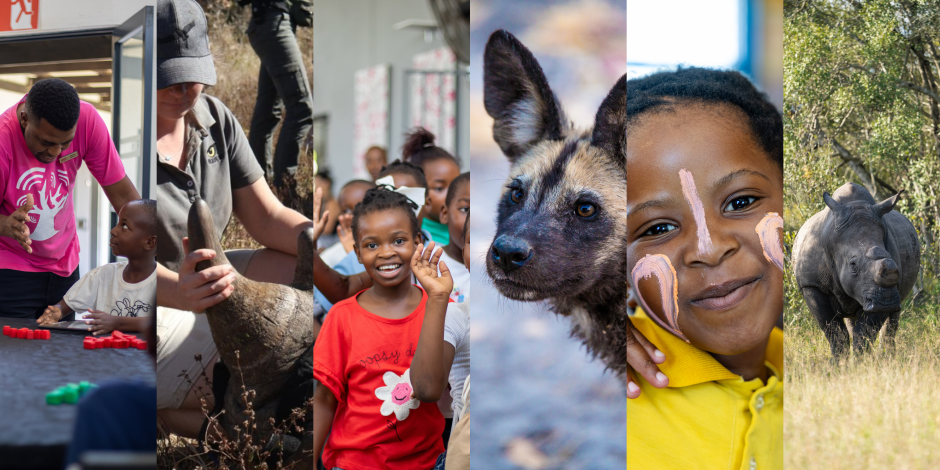 Blog Header Image Collages 940x470.png