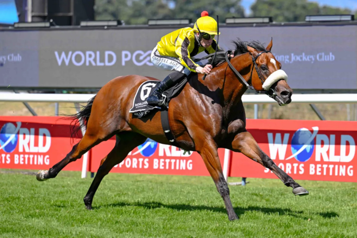 GIMME A PRINCE.jpg.webp.webp