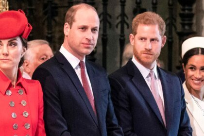 Mega378719 005 scaled e1671114983354.jpg