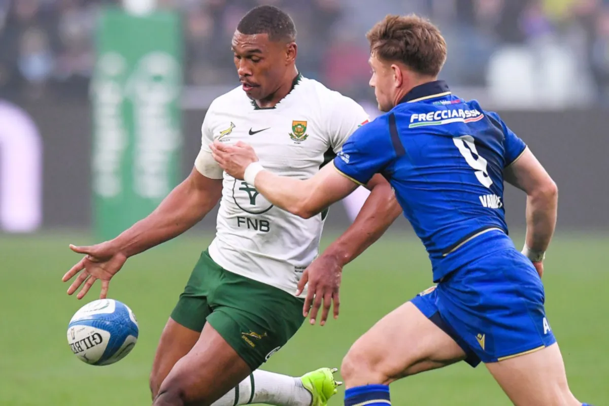 Damian willemse springboks.jpg.webp.webp