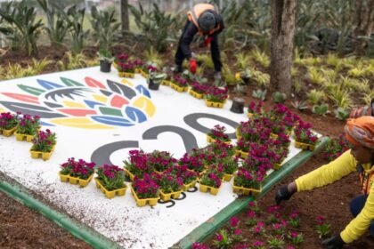 Https3A2F2Fd1e00ek4ebabms.cloudfront.net2Fproduction2F4ca8c759 34c2 4d35 b3c1 5fc47e3665c4.jpg