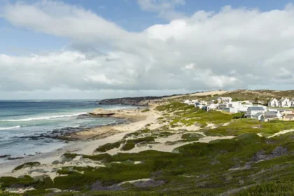 Photo 1704824678550 6903f7faa39f.webp.webp