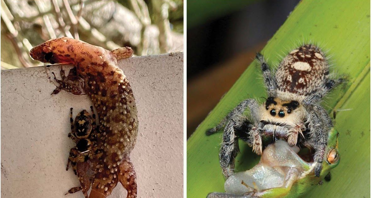 1766123573 Capture.JPG