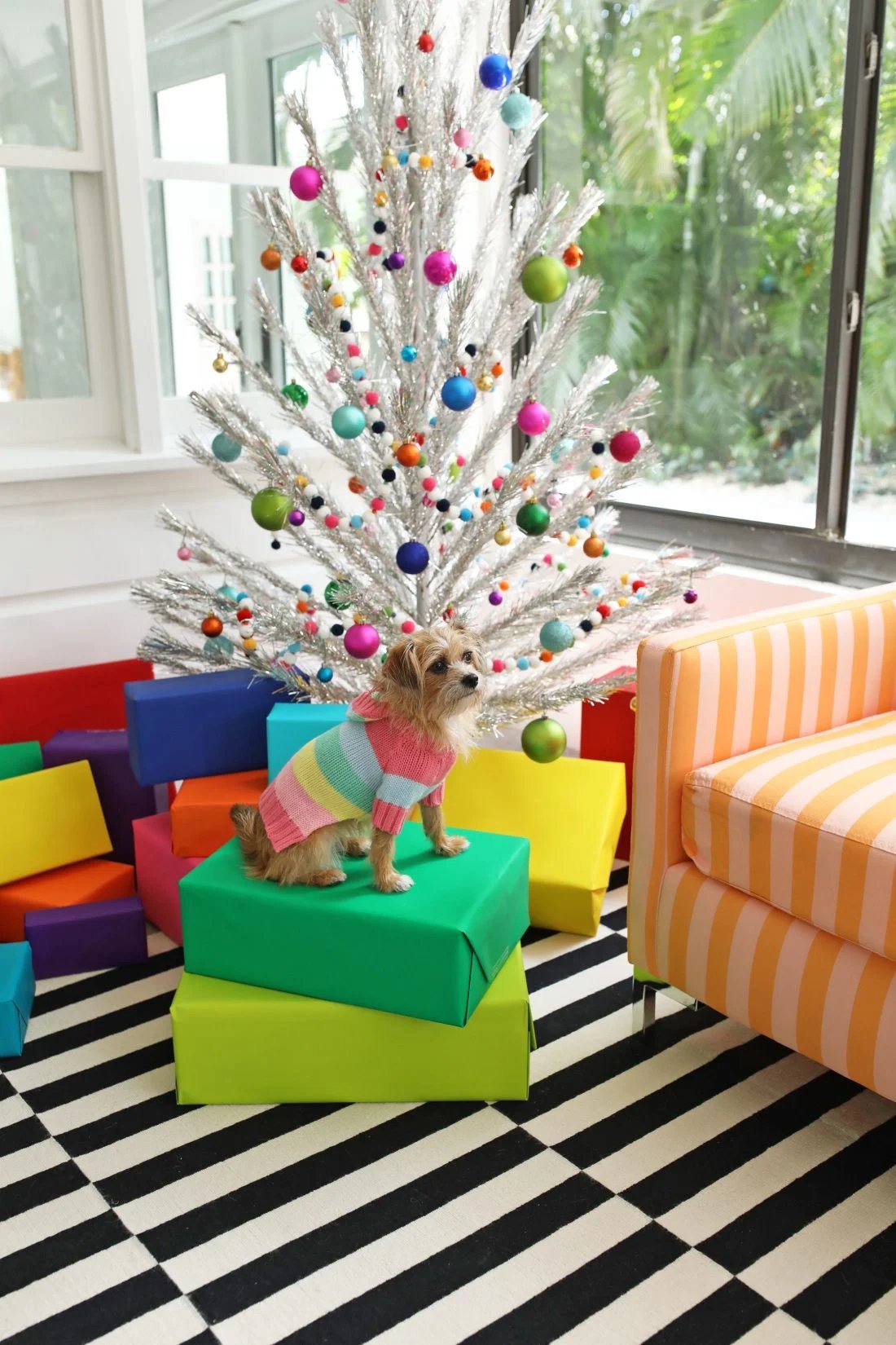 267a1204 2 1100x1650.jpg