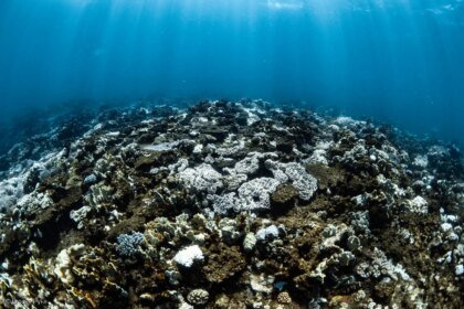 8d2c66a8 gp0su6i3t medium res with credit line 1200px.jpg