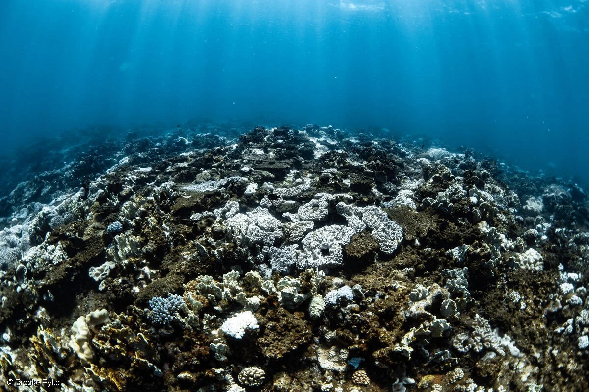 8d2c66a8 gp0su6i3t medium res with credit line 1200px.jpg