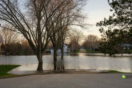 Atmospheric River Flooding in Washington British Columbia.jpg