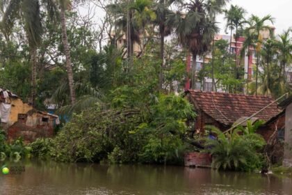 Cyclone Ditwah The Storm That Shattered Sri Lanka.jpg