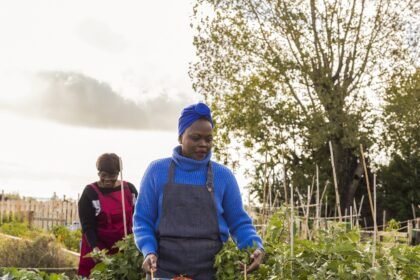 Depositphotos 802989364 L 1.jpg