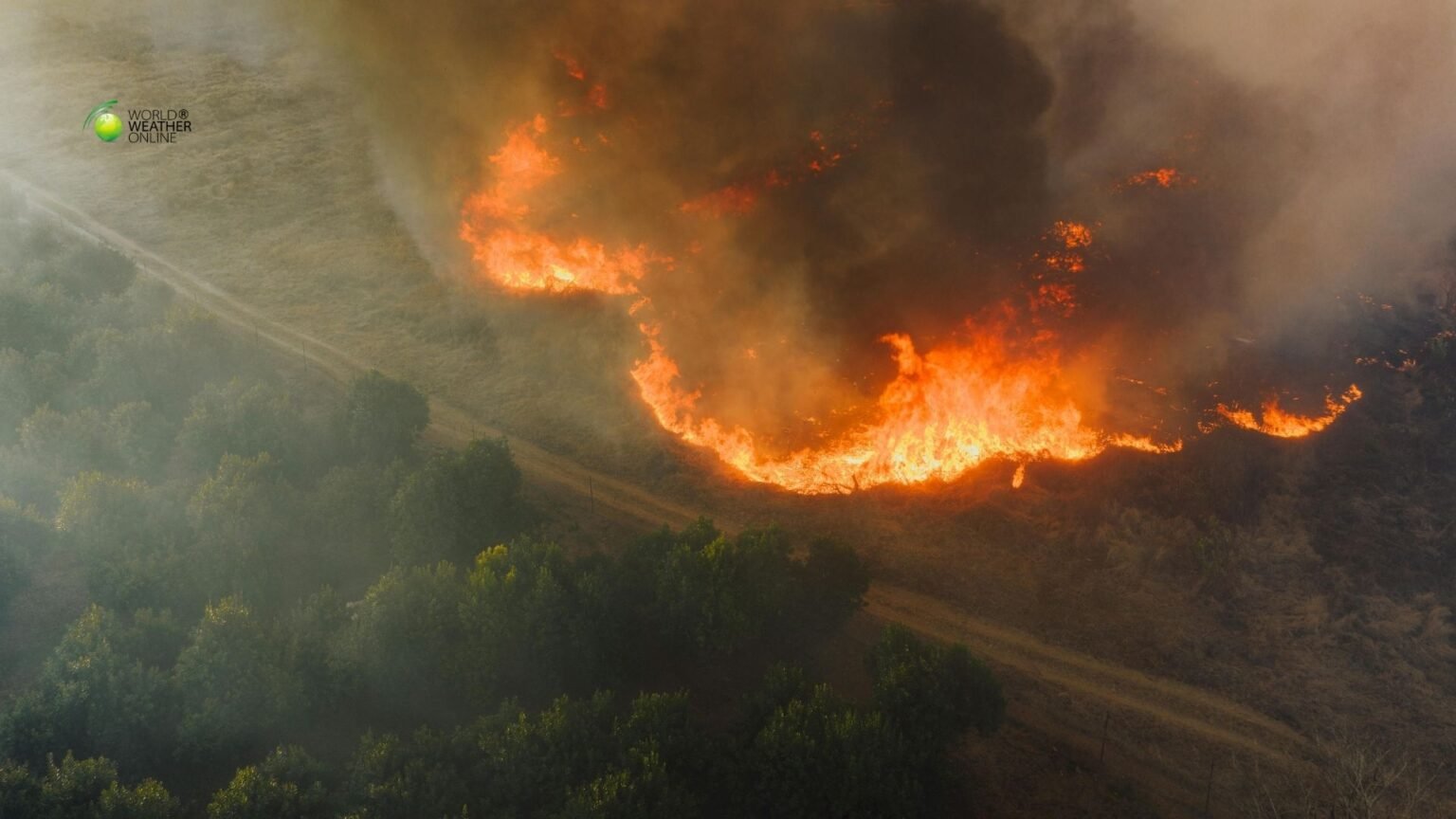 Europes Worst Wildfire Season on Record.jpg