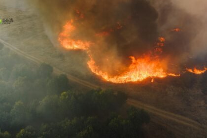 Europes Worst Wildfire Season on Record.jpg