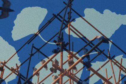 LandingPage Vox LucyJones.jpg