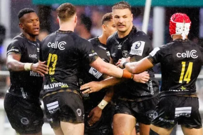 Sharks Bulls.jpeg.webp.webp