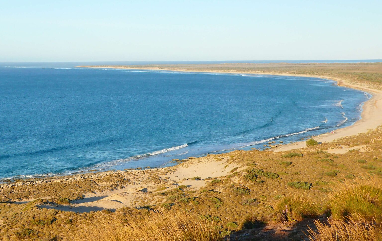 E1d4e29c 3 scaled.jpg