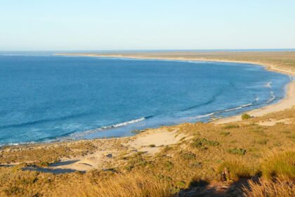 E1d4e29c 3 scaled.jpg