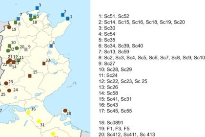 Ece372556 fig 0001 m.jpg