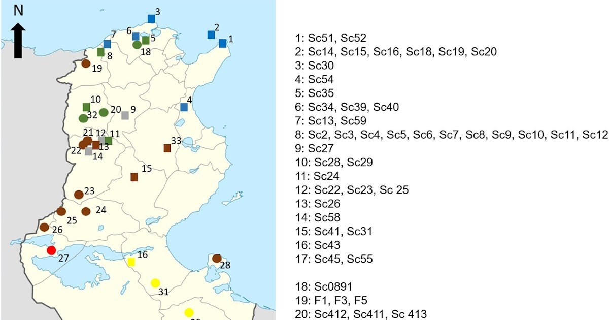 Ece372556 fig 0001 m.jpg