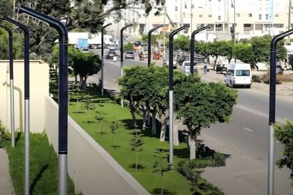 ILamp hires 1 1.jpeg