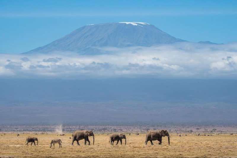 Kenya10.jpg